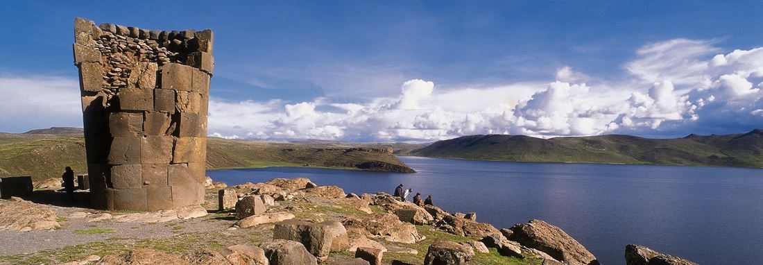 PUNO BASICO